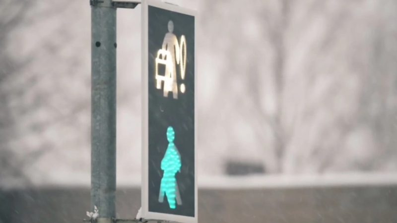 На дорогах появились светофоры с белой машиной. Что они означают